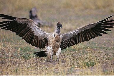 《怪形：重制版》发售日期疑遭泄露：下周见分晓