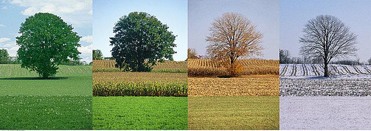 双11电玩补贴又加码，最新款OLED屏Switch不到2800！